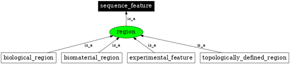 Graph image for SO:0000001