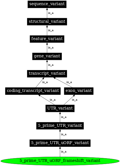 Graph image for SO:00000020002382