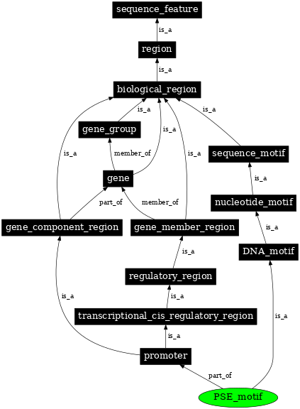 Graph image for SO:0000017