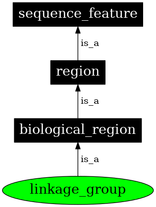 Graph image for SO:0000018