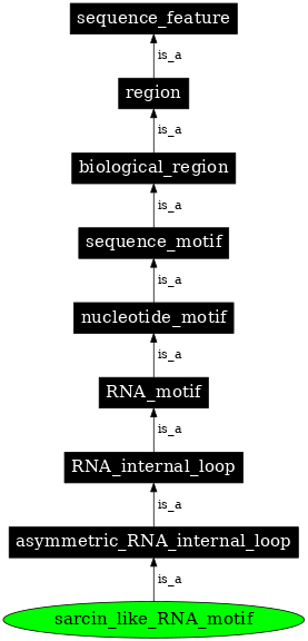 Graph image for SO:0000024