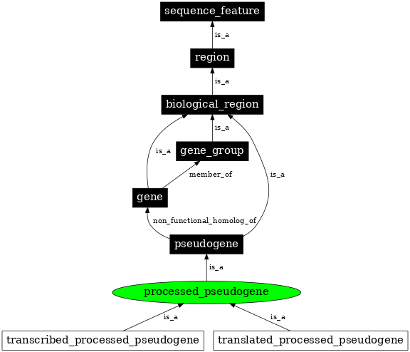 Graph image for SO:0000043