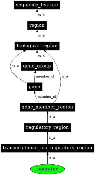 Graph image for SO:0000057