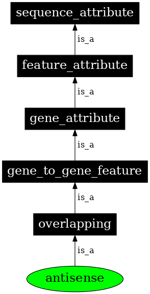 Graph image for SO:0000077