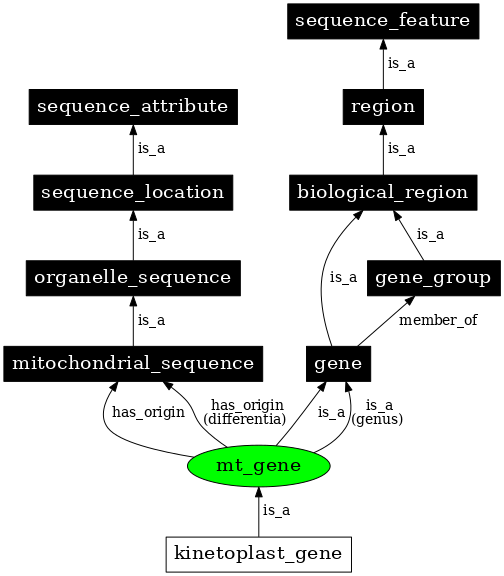 Graph image for SO:0000088