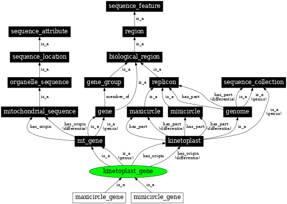 Graph image for SO:0000089