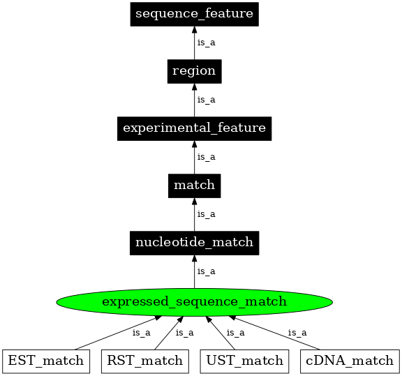 Graph image for SO:0000102