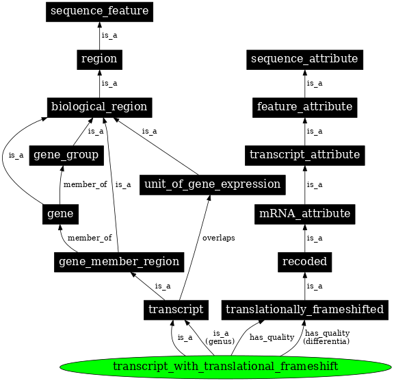 Graph image for SO:0000118