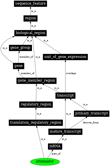 Graph image for SO:0000140