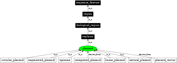 Graph image for SO:0000155