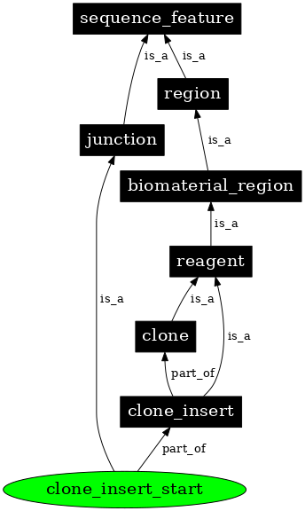 Graph image for SO:0000179