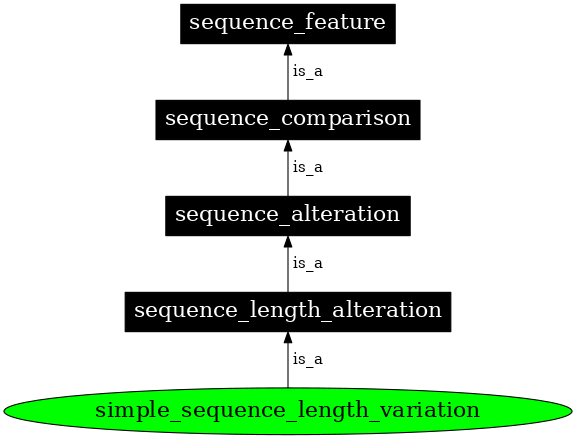 Graph image for SO:0000207