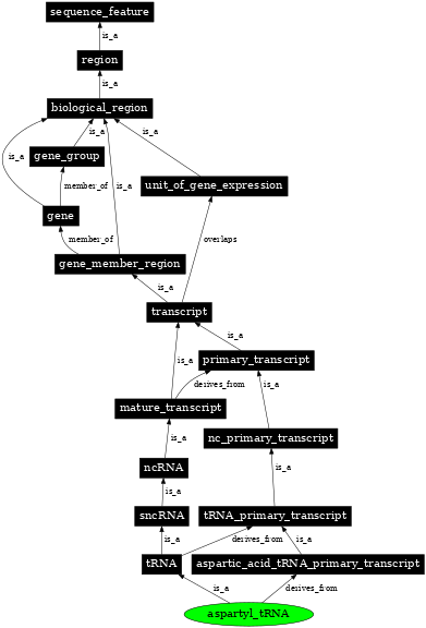 Graph image for SO:0000257