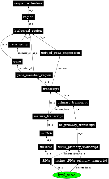 Graph image for SO:0000265