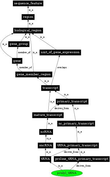 Graph image for SO:0000268