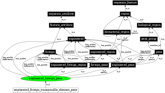 Graph image for SO:0000281