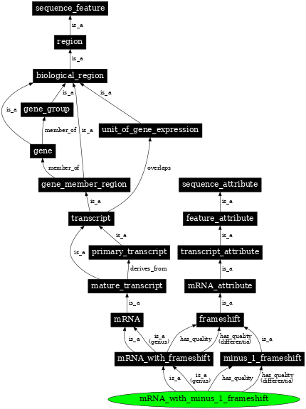 Graph image for SO:0000282