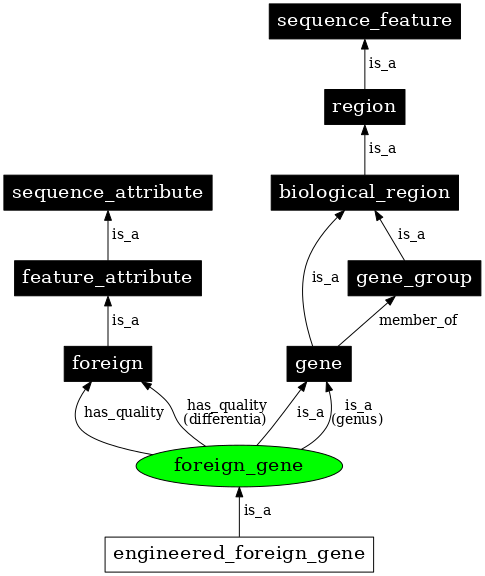 Graph image for SO:0000285