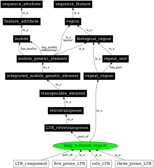 Graph image for SO:0000286