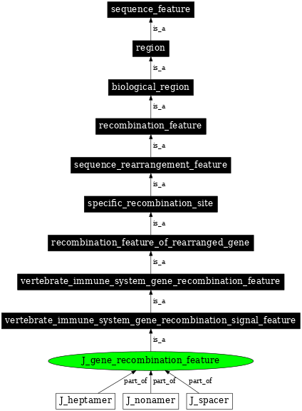 Graph image for SO:0000302