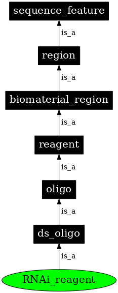 Graph image for SO:0000337