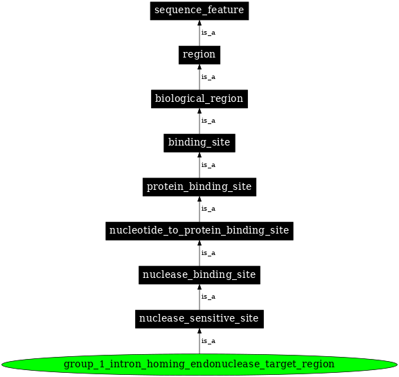 Graph image for SO:0000354