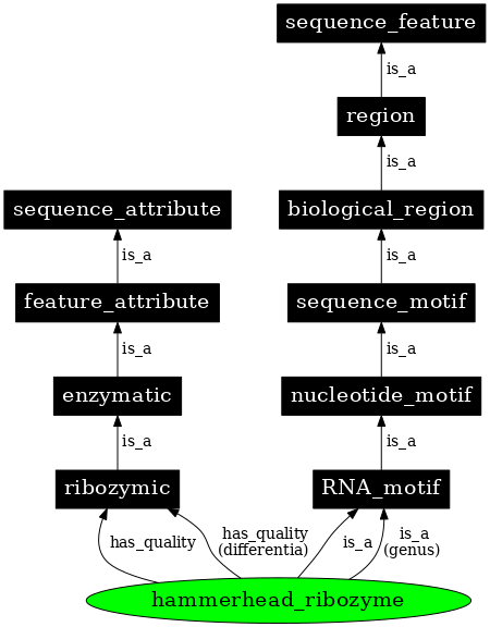 Graph image for SO:0000380