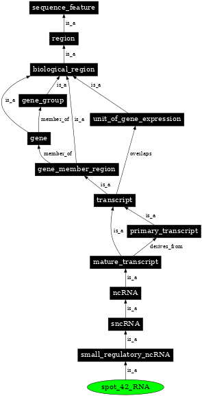 Graph image for SO:0000389