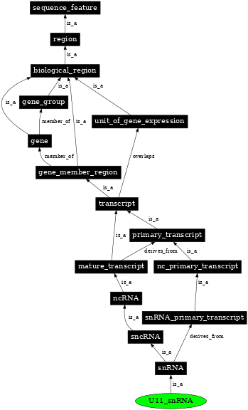 Graph image for SO:0000398