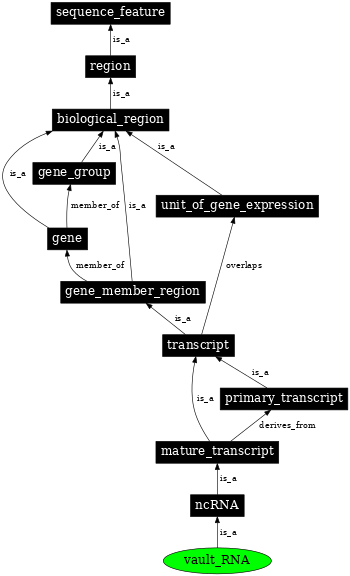 Graph image for SO:0000404