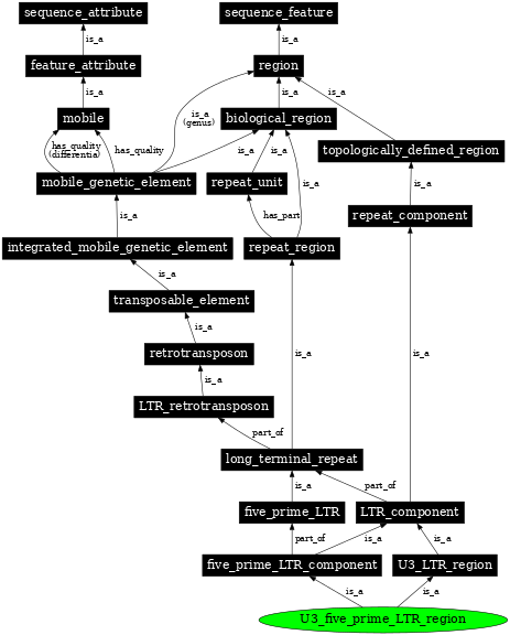 Graph image for SO:0000429