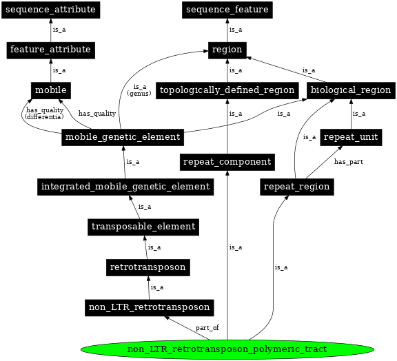 Graph image for SO:0000433