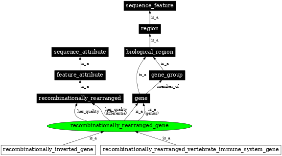 Graph image for SO:0000456