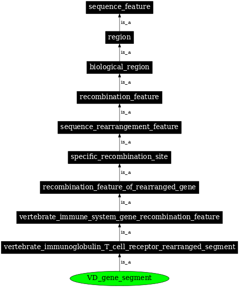 Graph image for SO:0000510