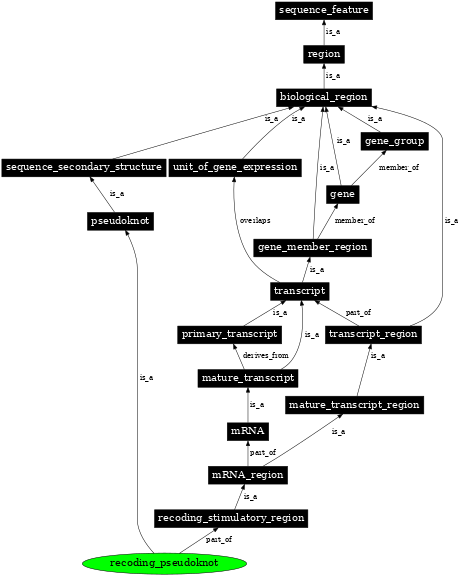 Graph image for SO:0000545