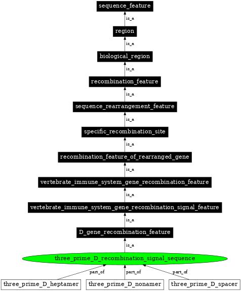 Graph image for SO:0000570