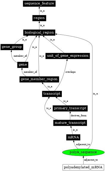 Graph image for SO:0000610