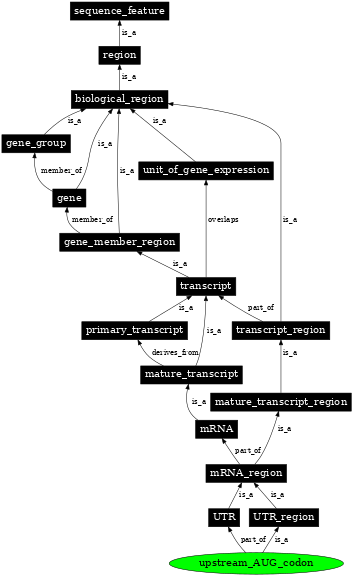 Graph image for SO:0000630