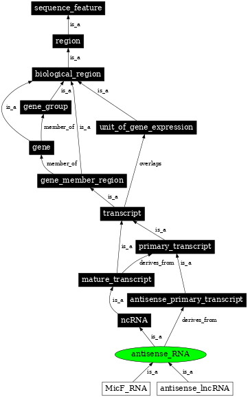 Graph image for SO:0000644