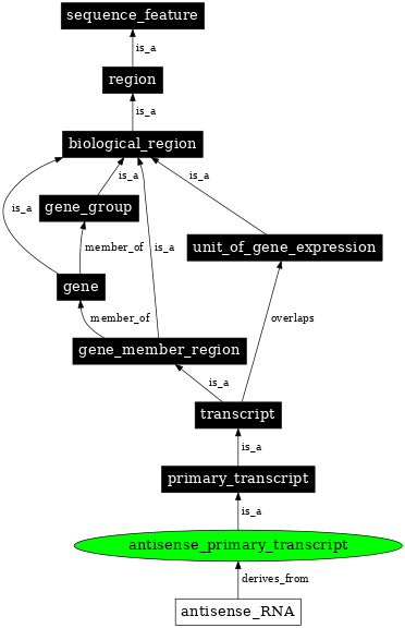 Graph image for SO:0000645