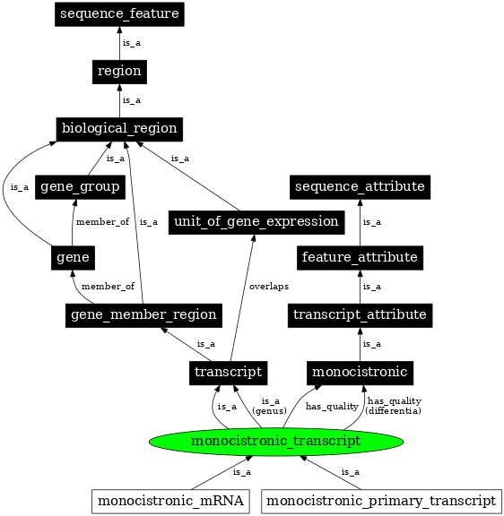 Graph image for SO:0000665