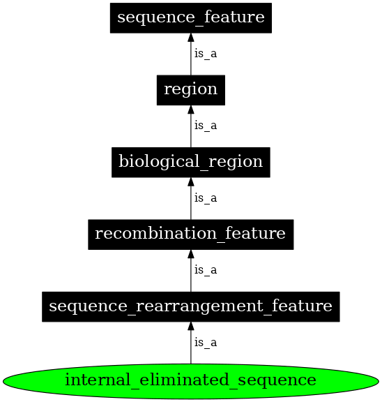 Graph image for SO:0000671