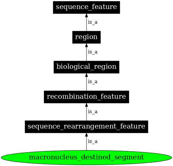 Graph image for SO:0000672