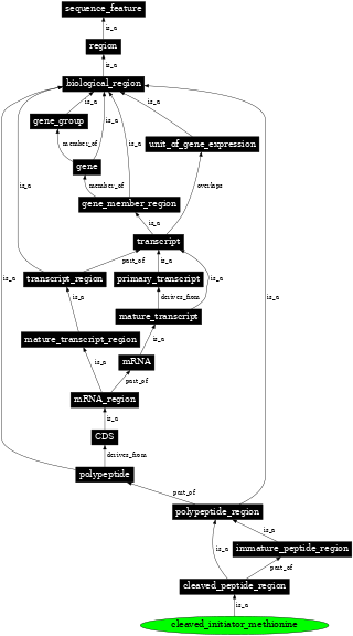 Graph image for SO:0000691