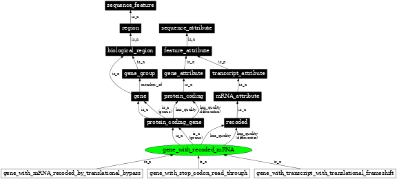 Graph image for SO:0000693