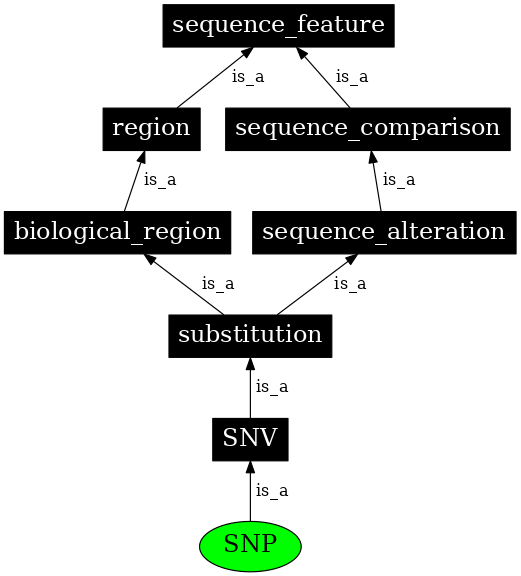 Graph image for SO:0000694