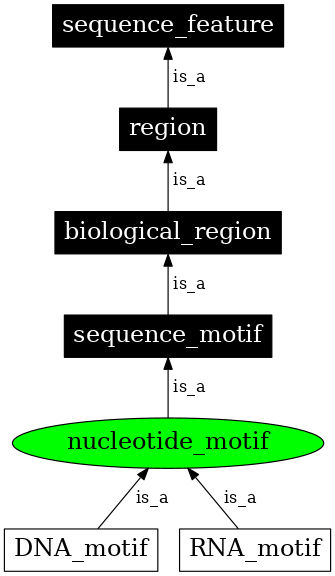 Graph image for SO:0000714