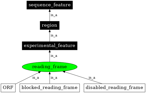 Graph image for SO:0000717