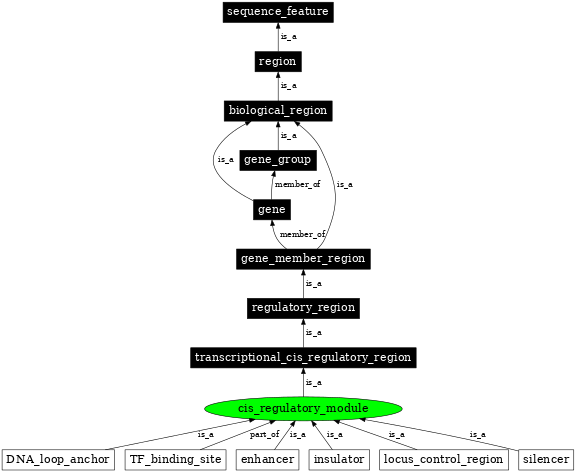 Graph image for SO:0000727