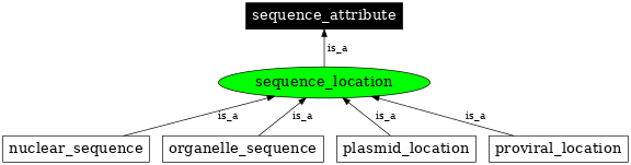 Graph image for SO:0000735